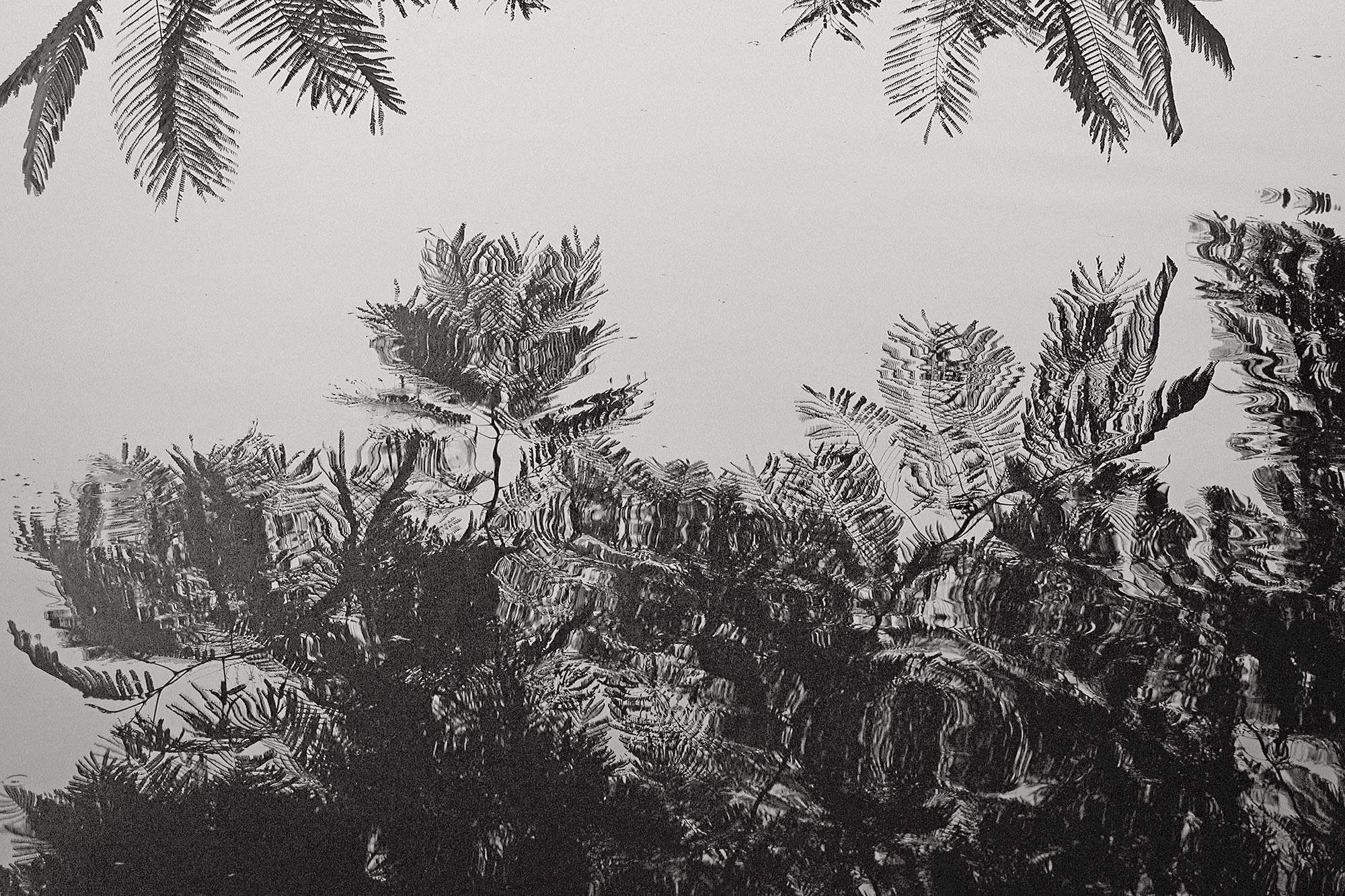Christoph Radke, Vietnam, Hanoi, am See Hồ Trúc Bạch, 2018